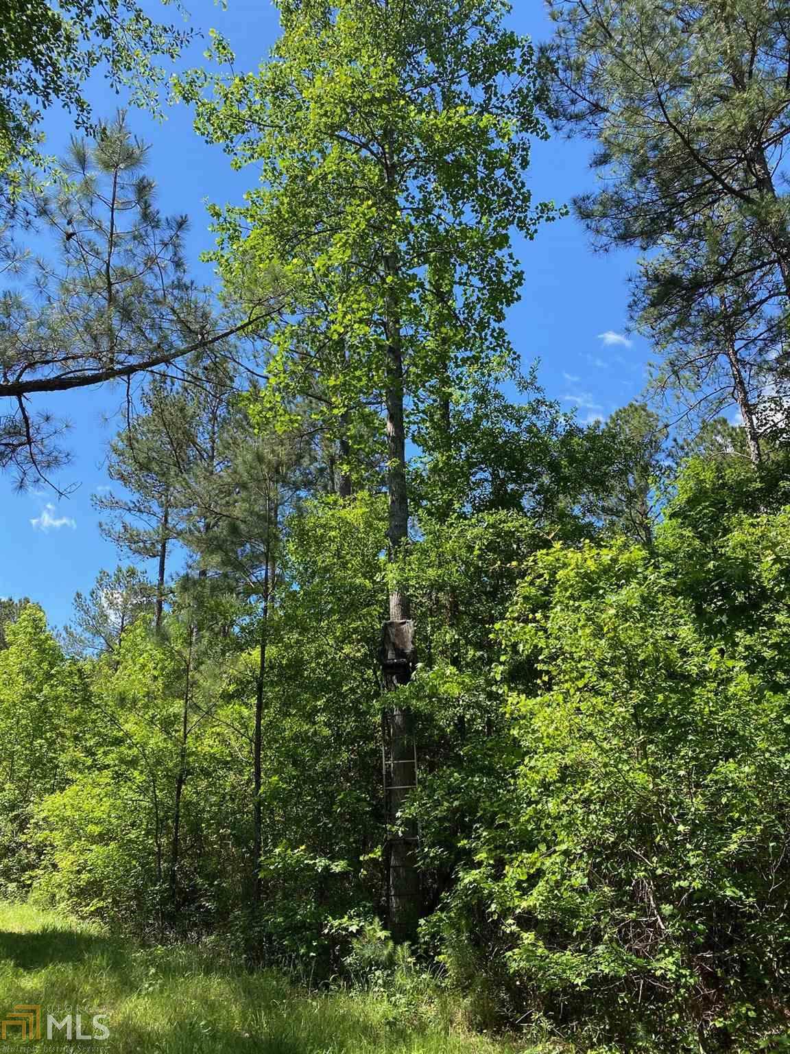 2226 Georgia Highway 19 - Photo 1