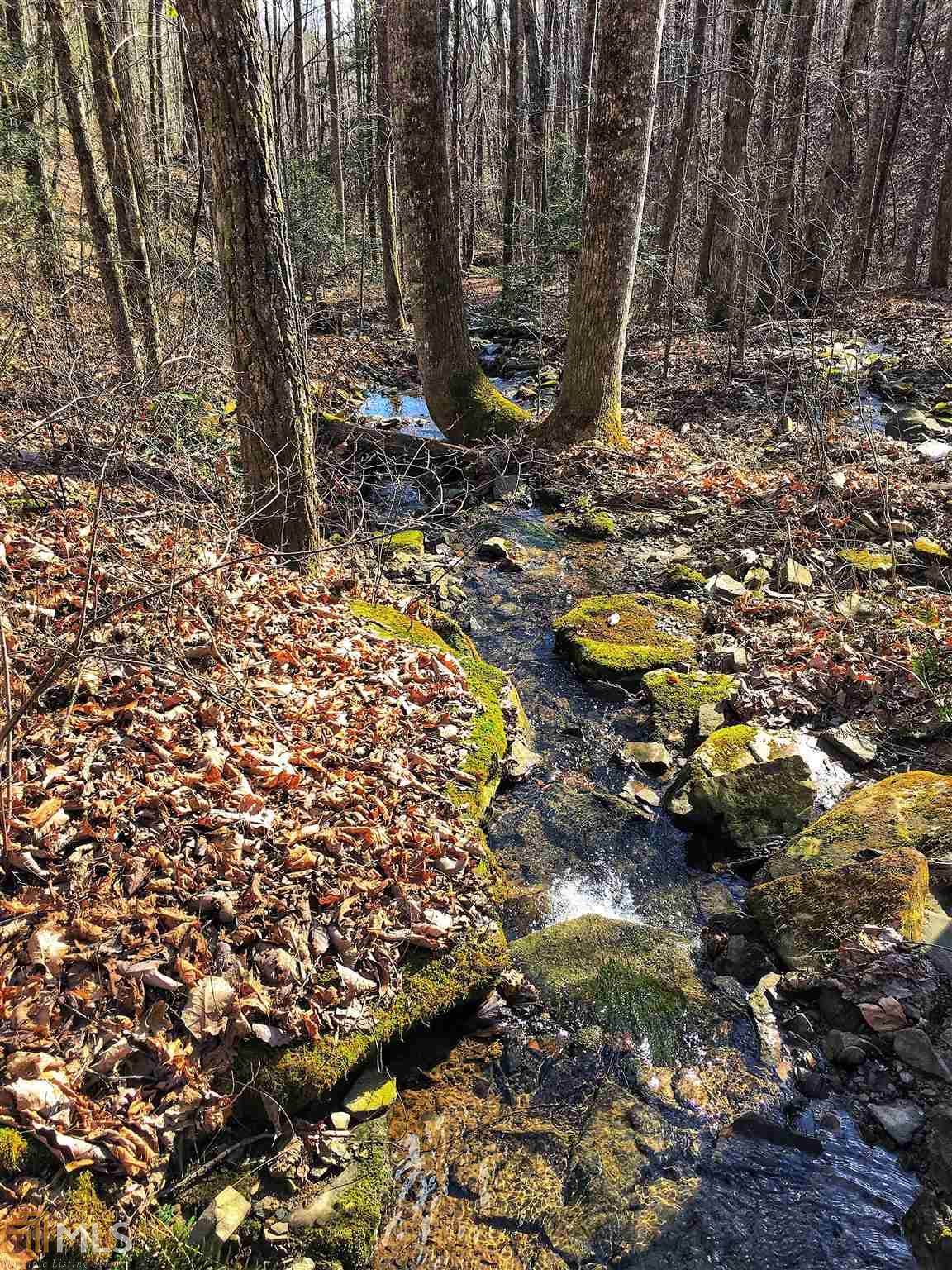 0 Snyder Loop Rd - Photo 1