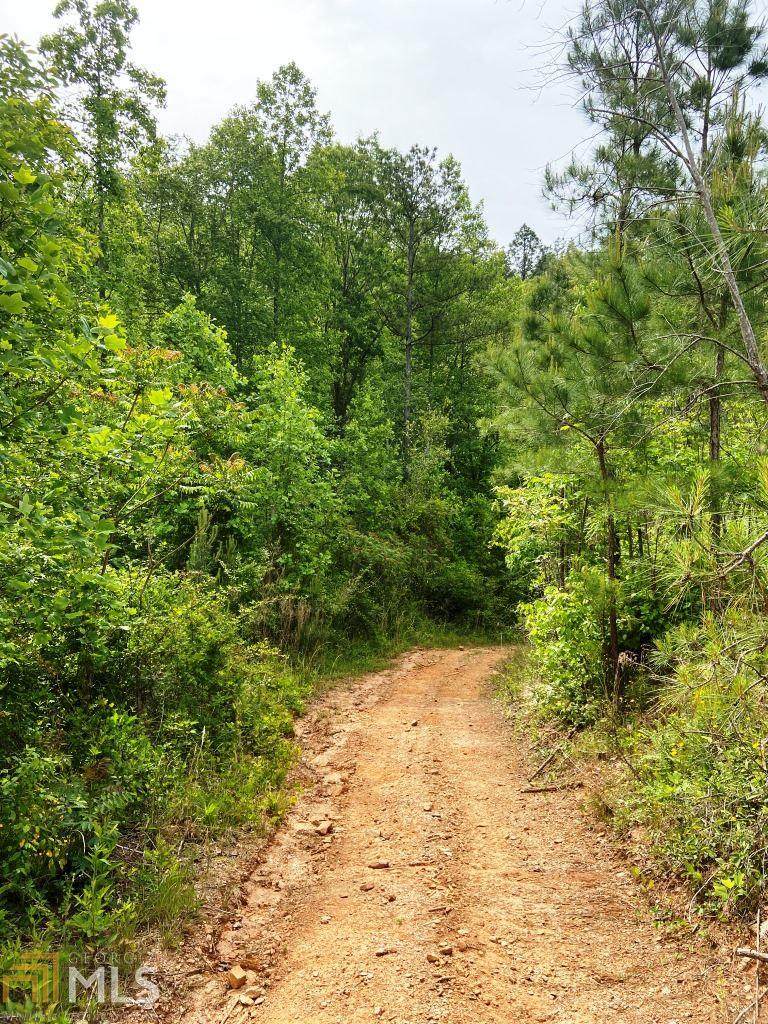 0 Ga Highway 100 - Photo 1
