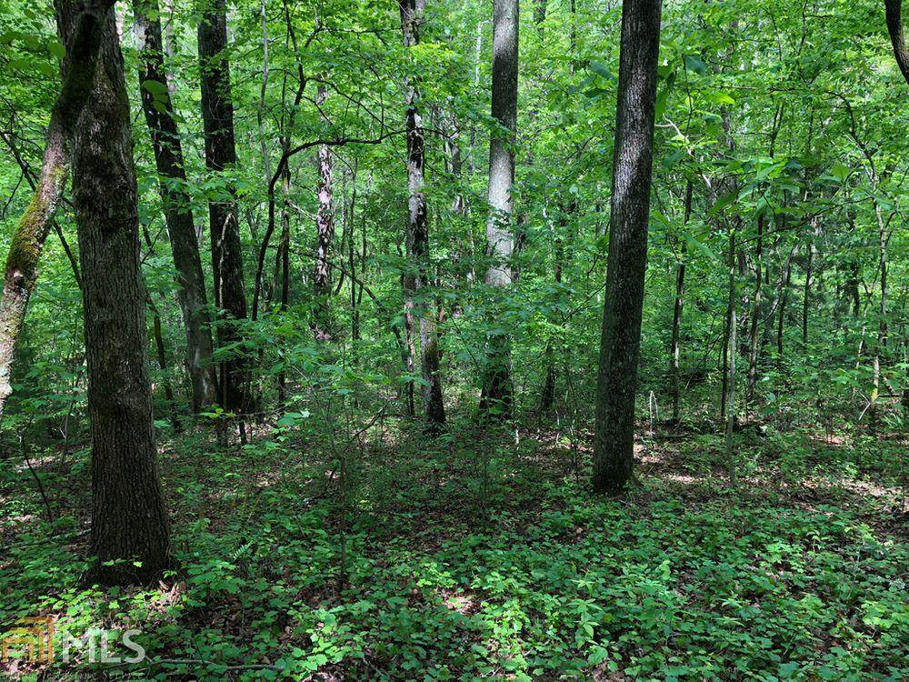 0 Mineral Bluff Hwy - Photo 1