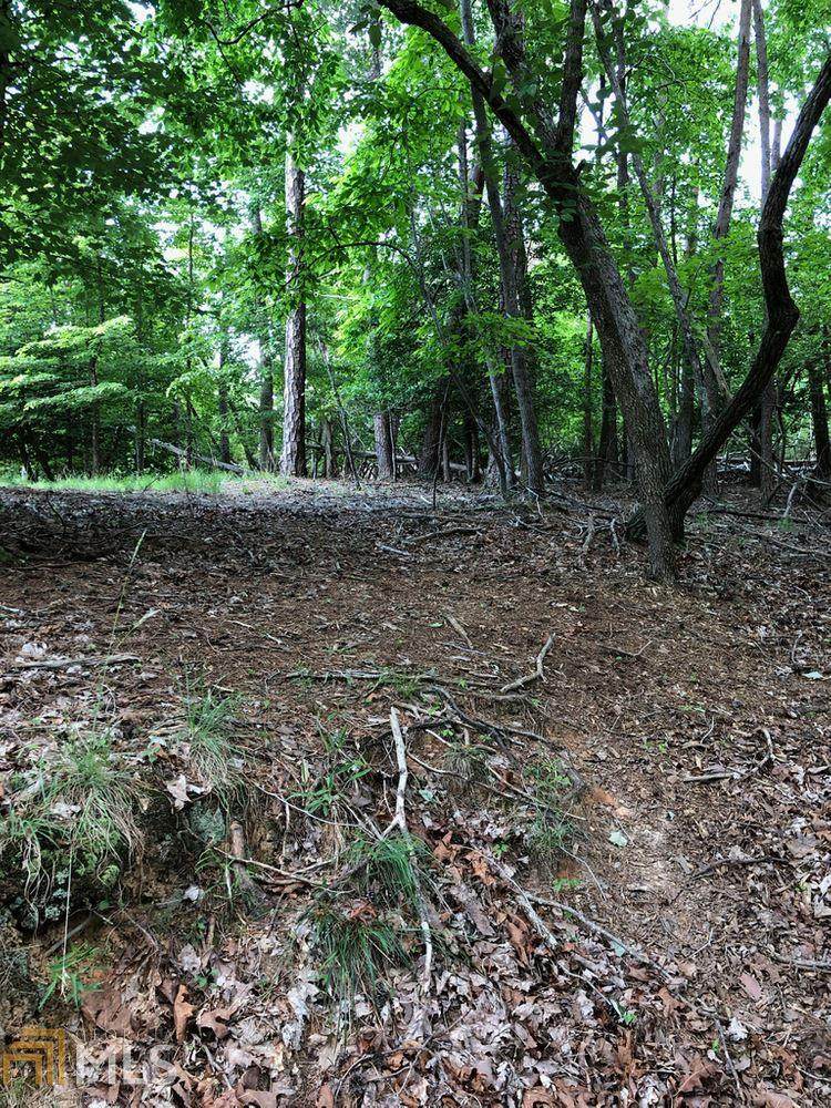 LOT 541 Amherst Court - Photo 1