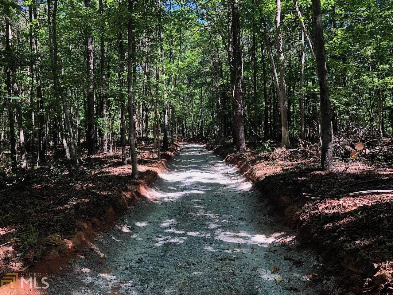 0 John Loudermilk Rd - Photo 1
