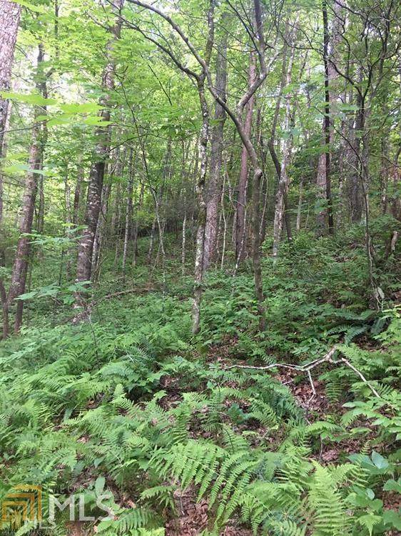 0 Covecrest Hollow - Photo 1