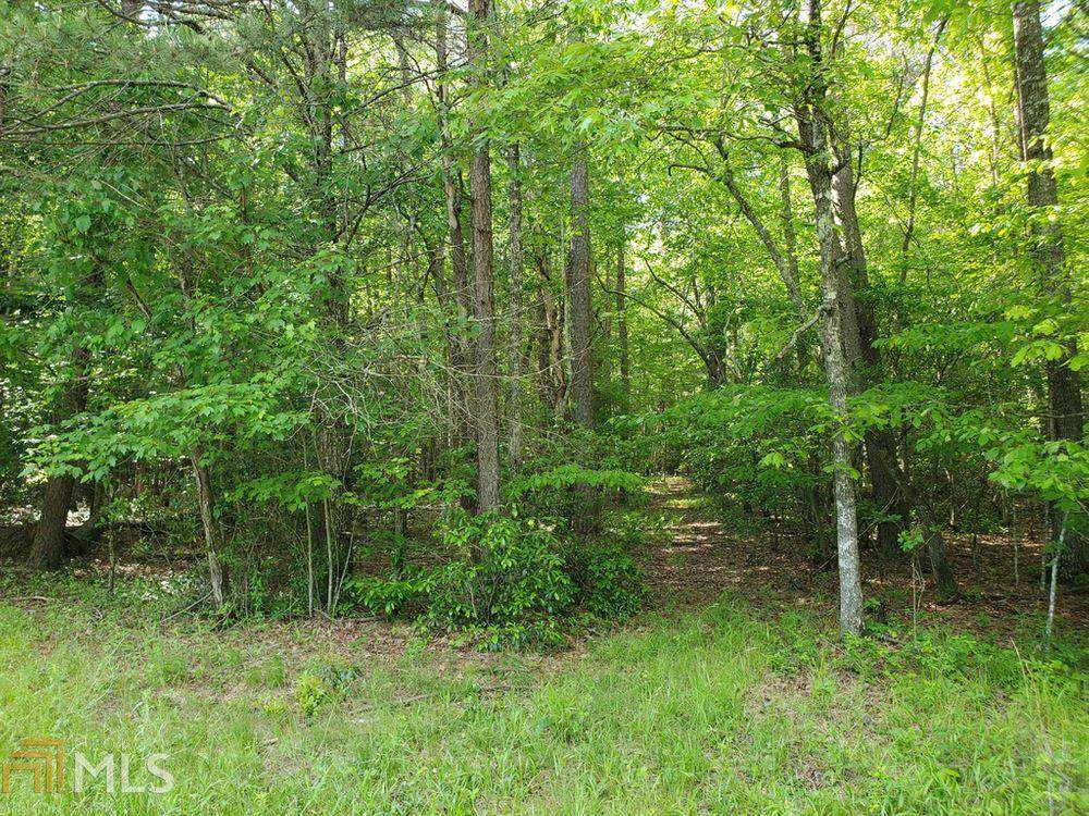 0 Tanner Cove Rd - Photo 1