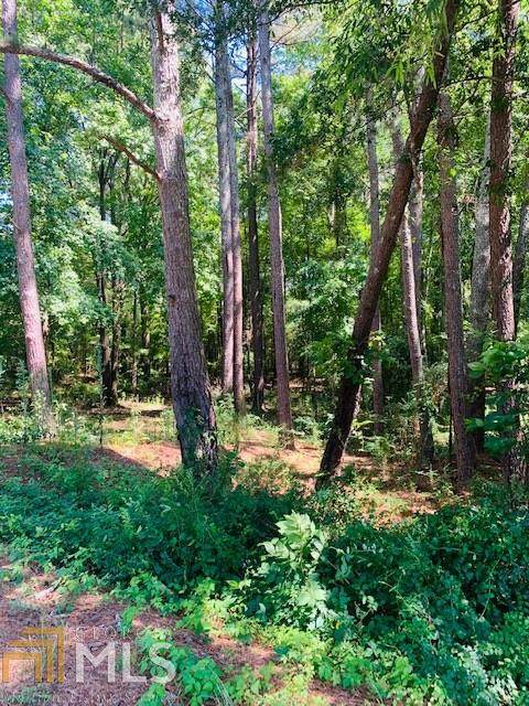0 Hestertown Rd - Photo 1