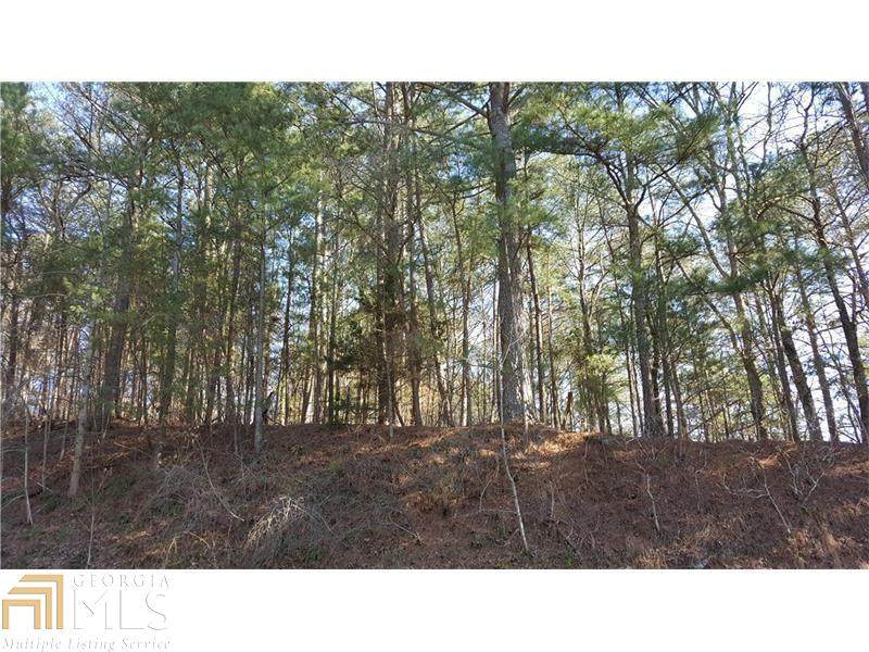 0 Four Mile Church Rd - Photo 1