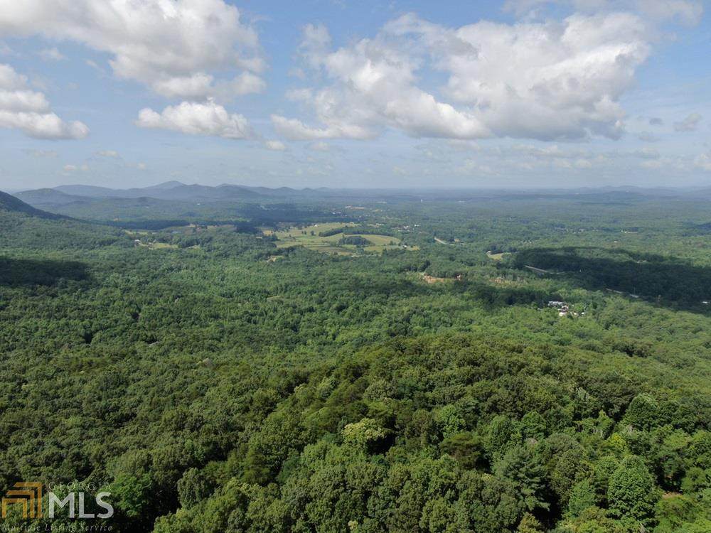 123 Bald Eagle Path - Photo 1
