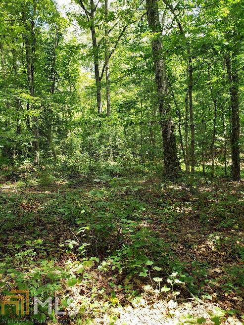 0 Castleman Rd - Photo 1