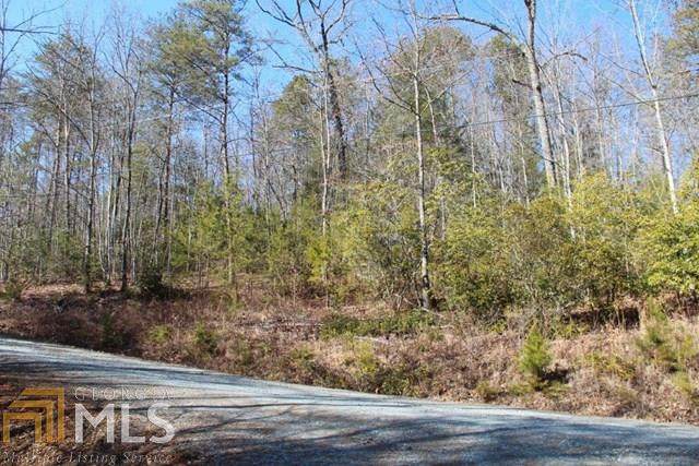 0 Hiawatha Trl - Photo 1
