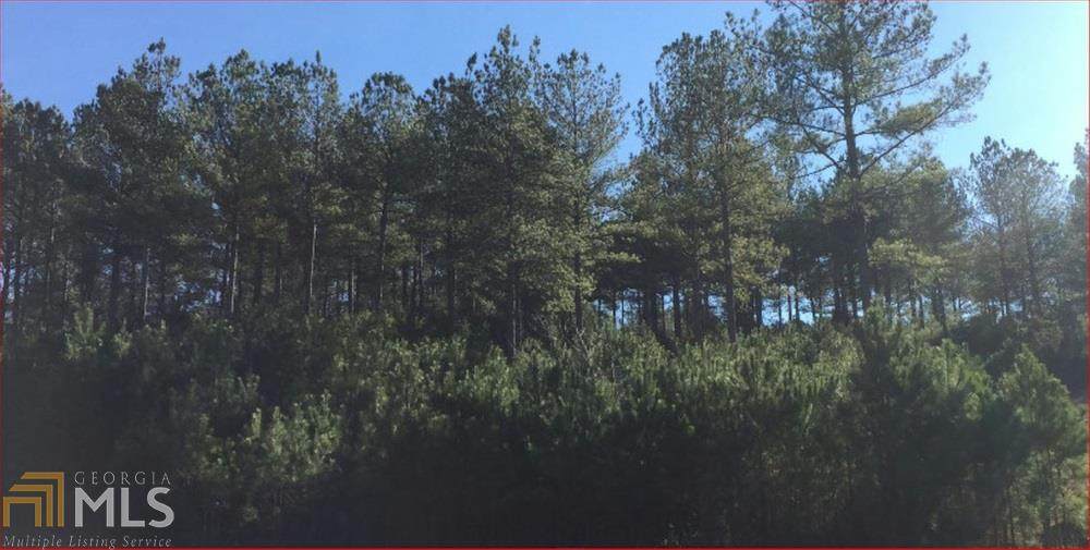 0 Pinehurst - Photo 1