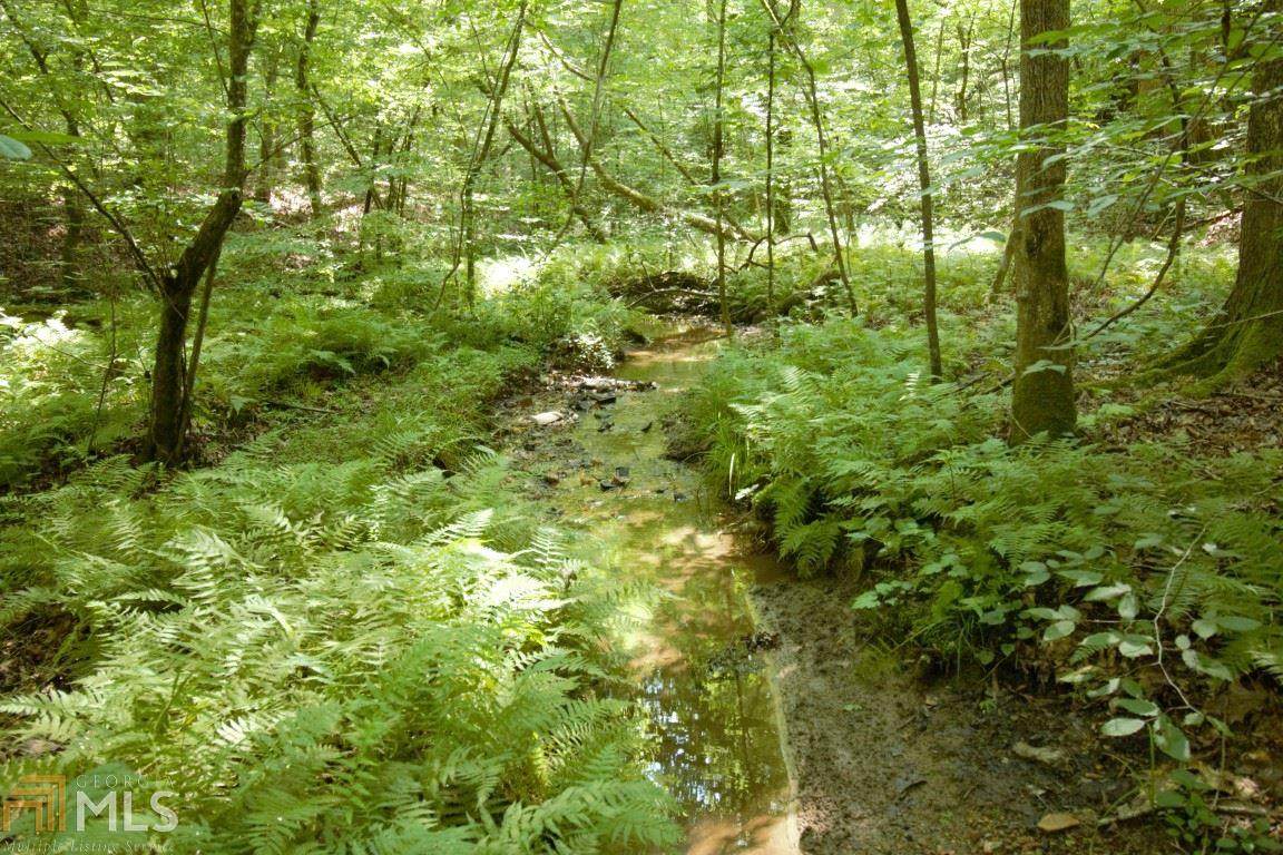 0 Seed Tick Rd - Photo 1
