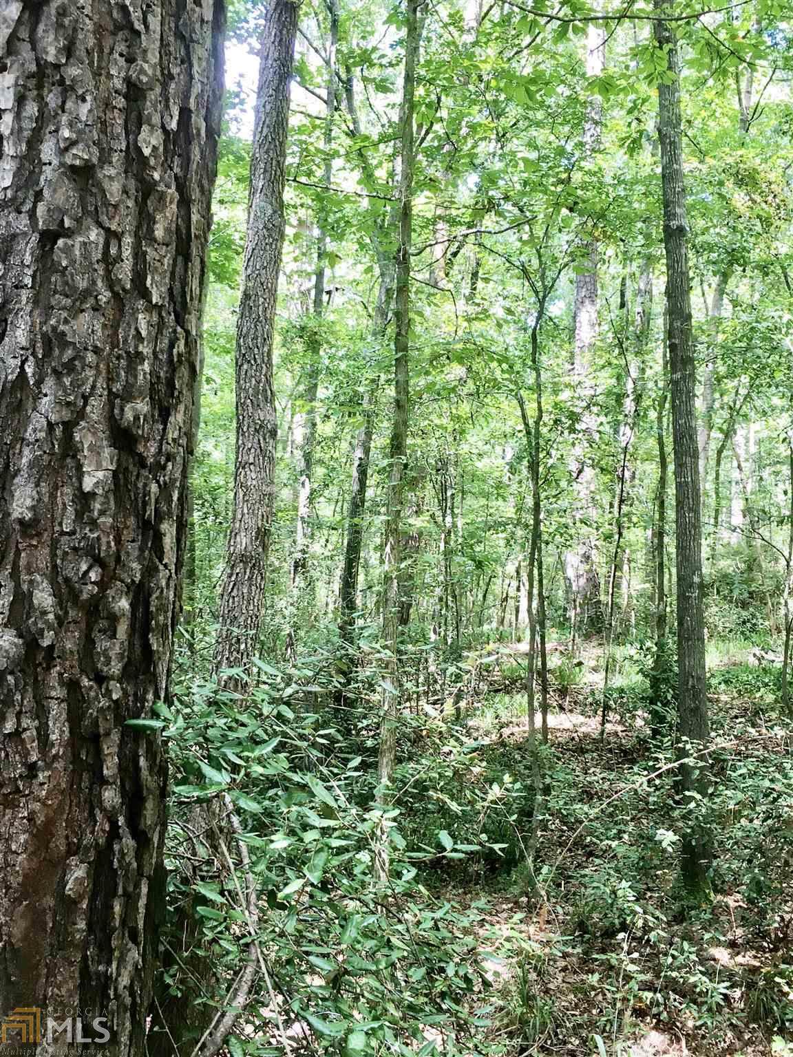 855 Lamar Rd - Photo 1