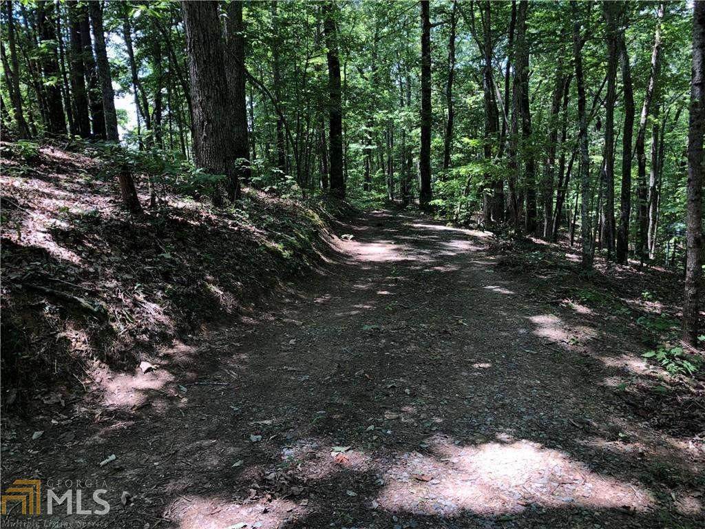 0 Highway 382 West - Photo 1