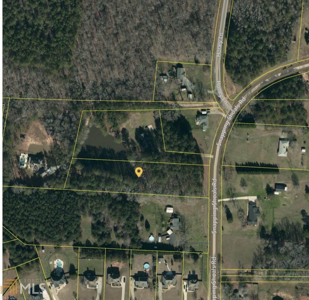 0 Snapping Shoals Rd - Photo 1