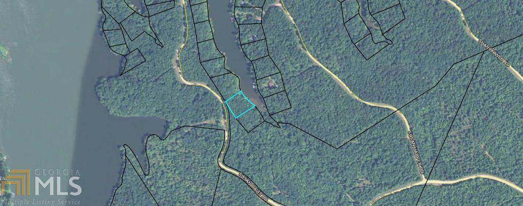 0 Susan Davis Rd - Photo 1