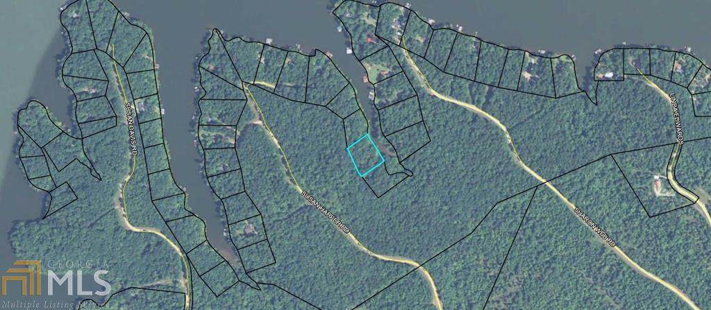0 Susan Harper Rd - Photo 1