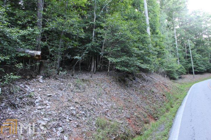 0 Lemmon Ln - Photo 1