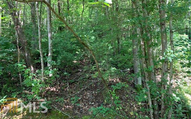 0 Fain Branch - Photo 1
