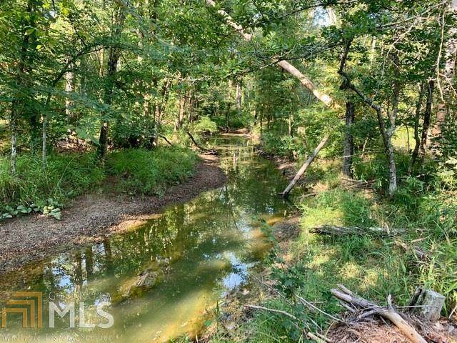 0 Blacks Bluff Rd - Photo 1
