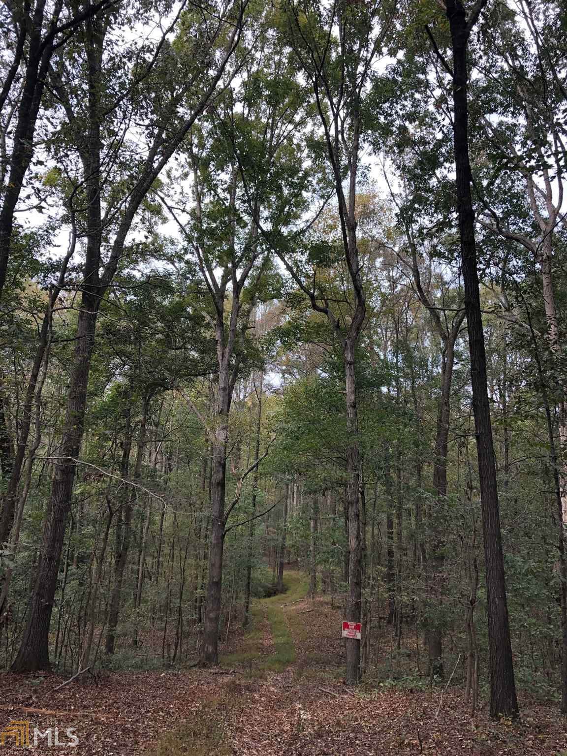 0 Lavonia Rd - Photo 1