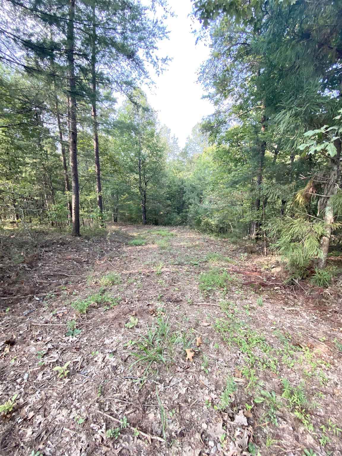 0 Hooper Rd - Photo 1