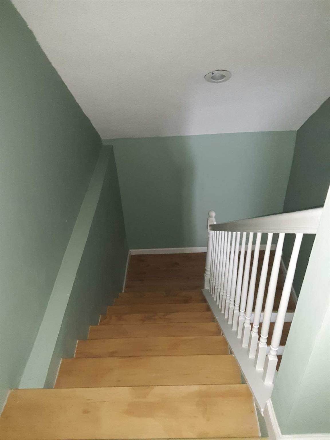6615 Dorothy Ln - Photo 1