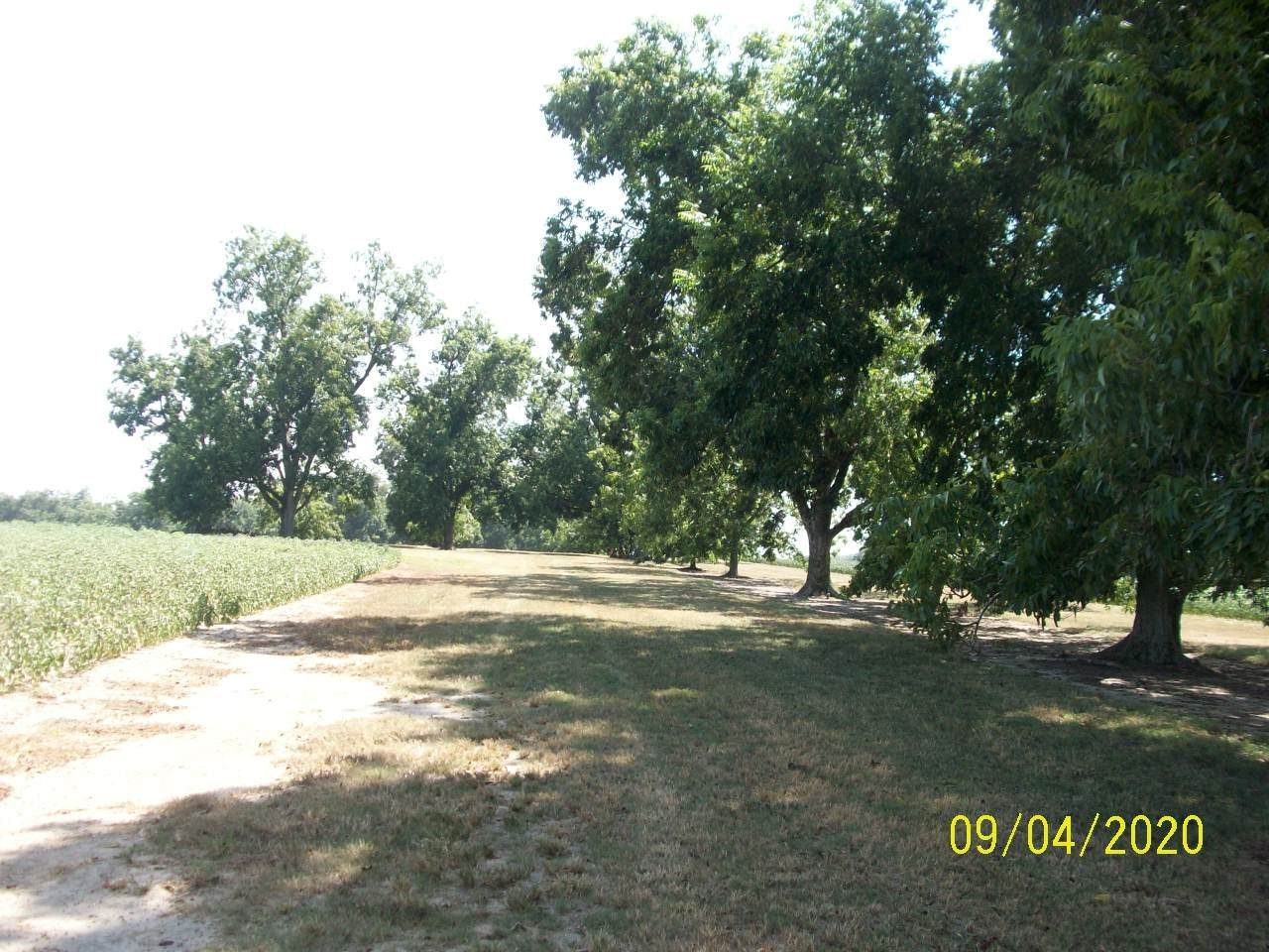 0 Sweetgum Rd - Photo 1
