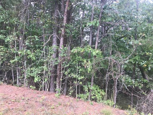0 B Soque Ridge Cir - Photo 1