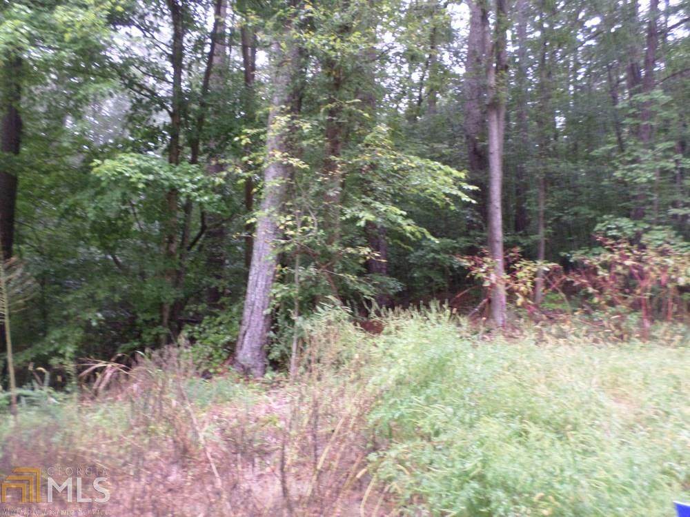 3060 Macedonia Rd - Photo 1