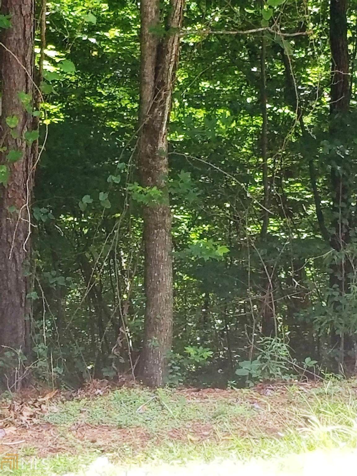 0 Carnes Rd - Photo 1