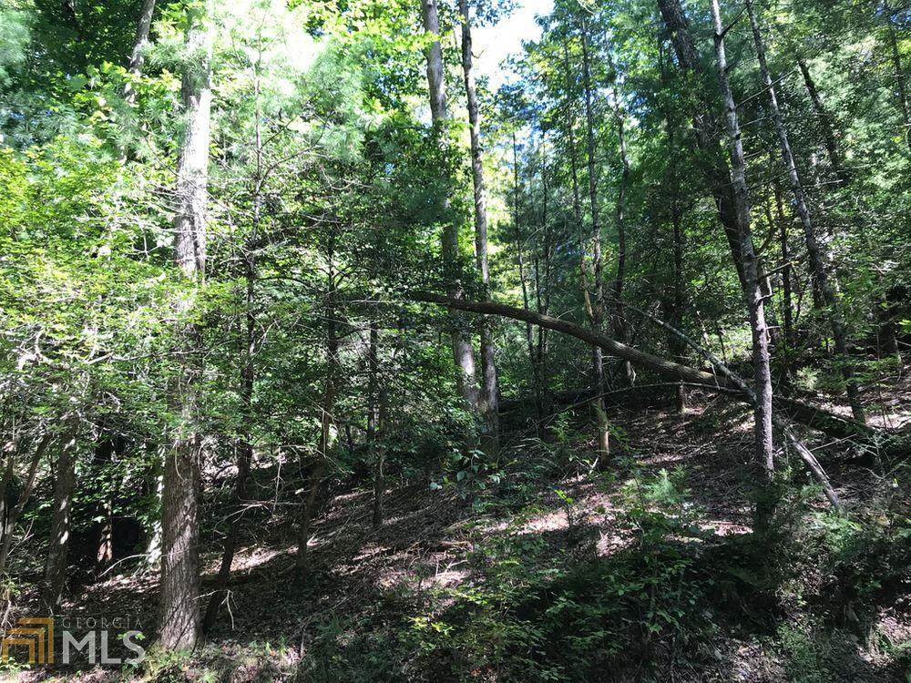 0 Hidden Lake Dr - Photo 1