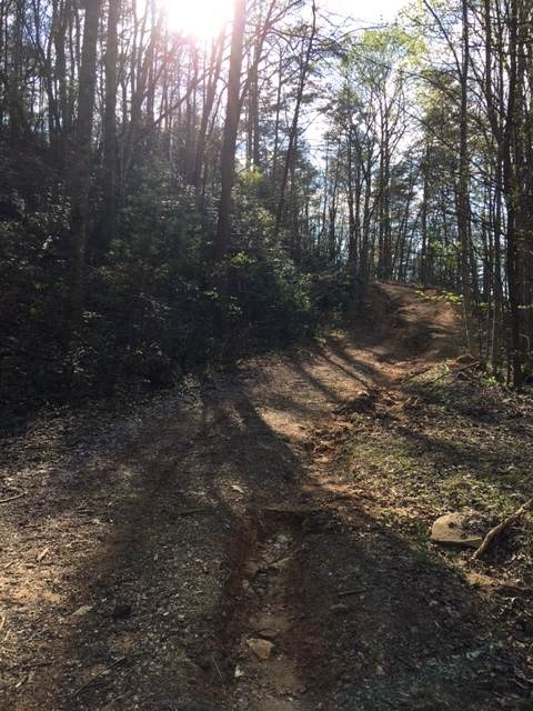 0 Old Chechero Rd - Photo 1