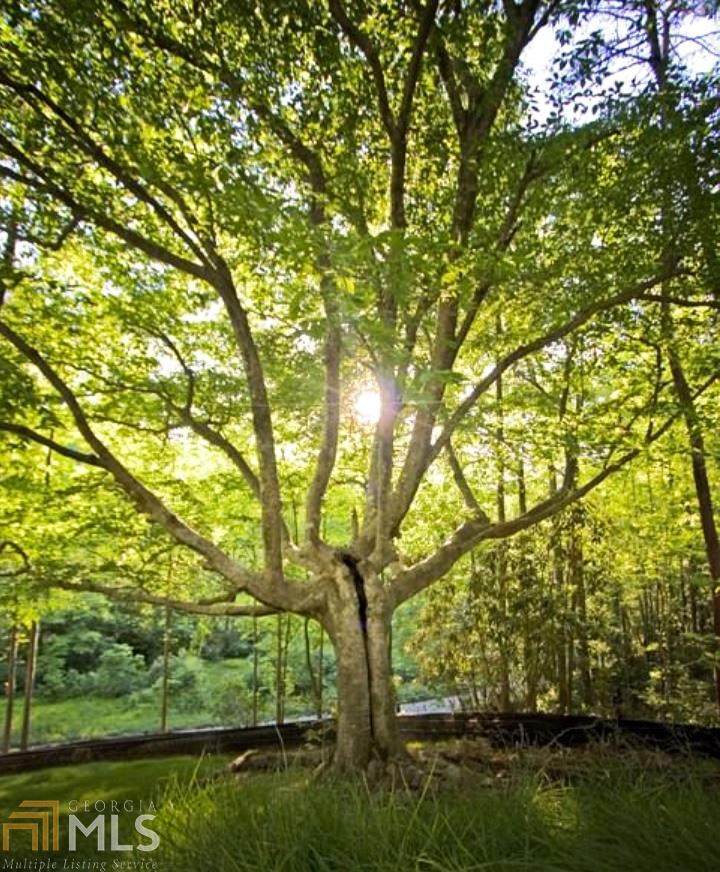 0 Whispering Tree - Photo 1
