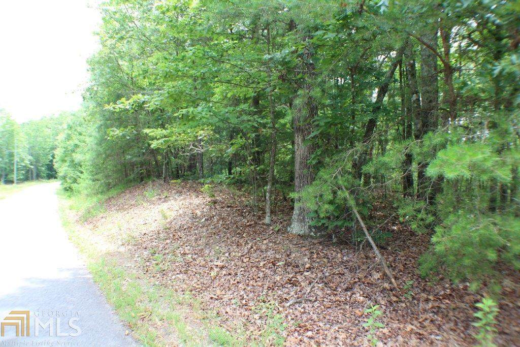 0 Lakeland Dr - Photo 1