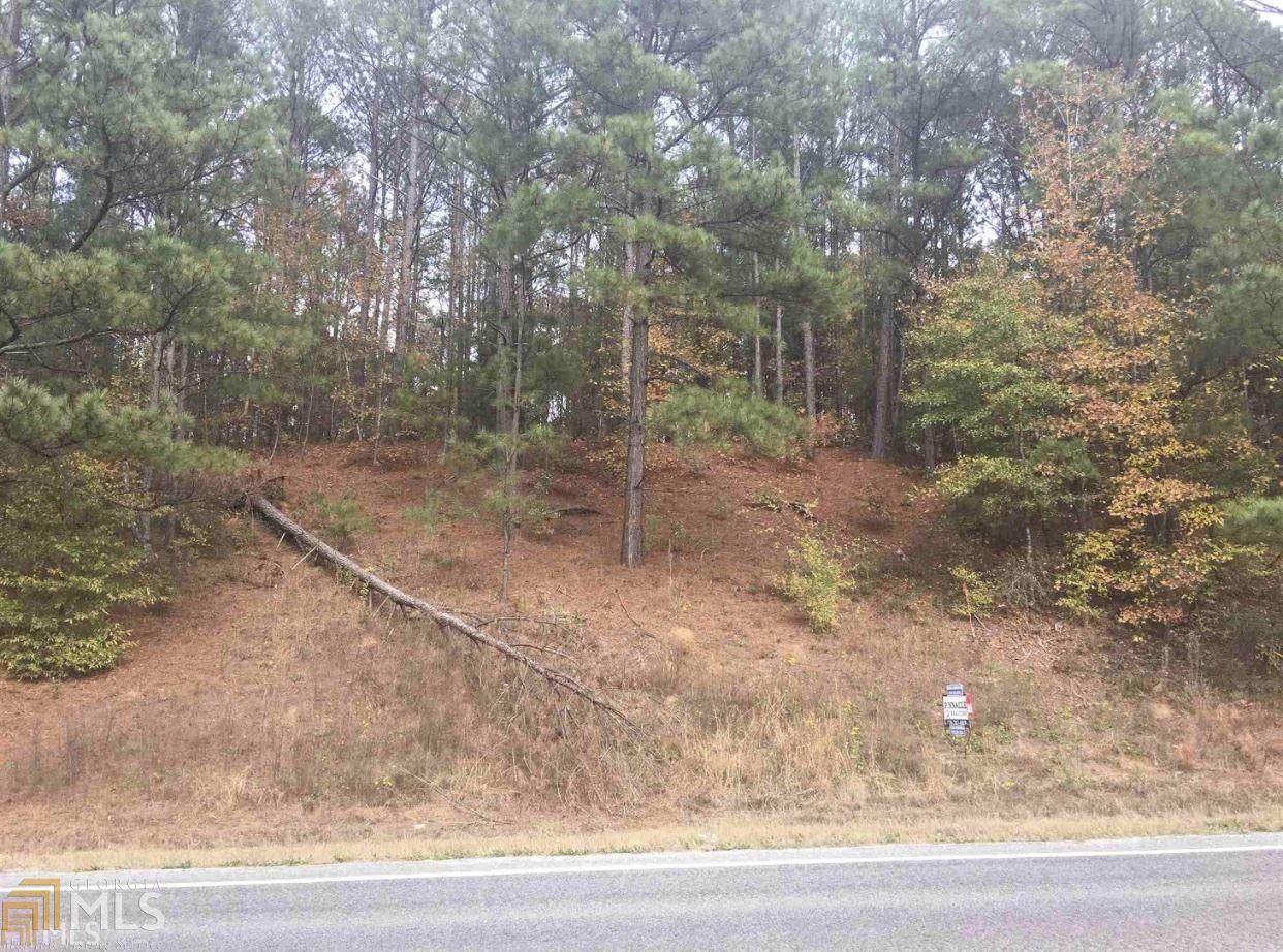 250 Highway 212 - Photo 1