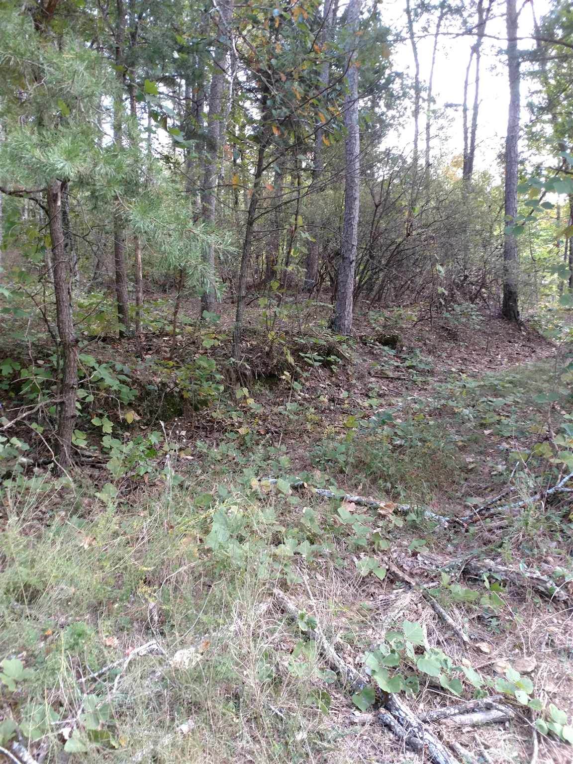 0 Fouche Gap Rd - Photo 1