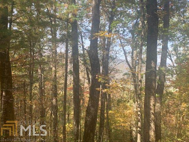 0 Coleman Heights Lane - Photo 1