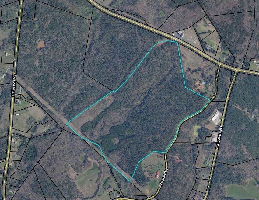0 Mauldin Rd - Photo 1