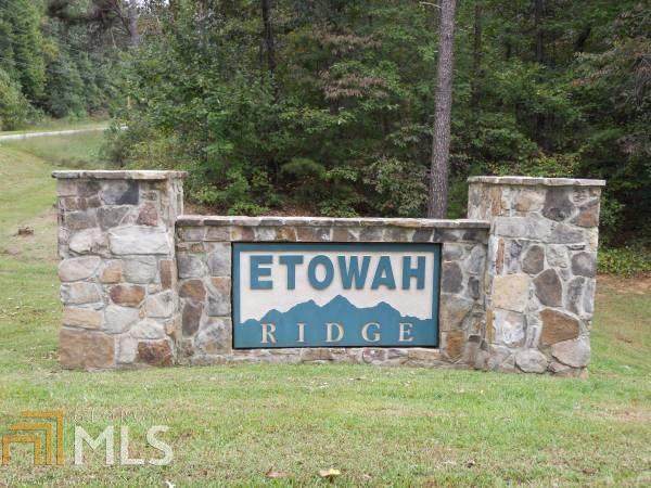 0 54B Etowah Ridge - Photo 1