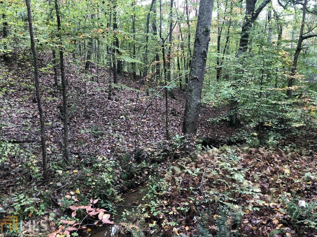 0 Cochran Rd - Photo 1