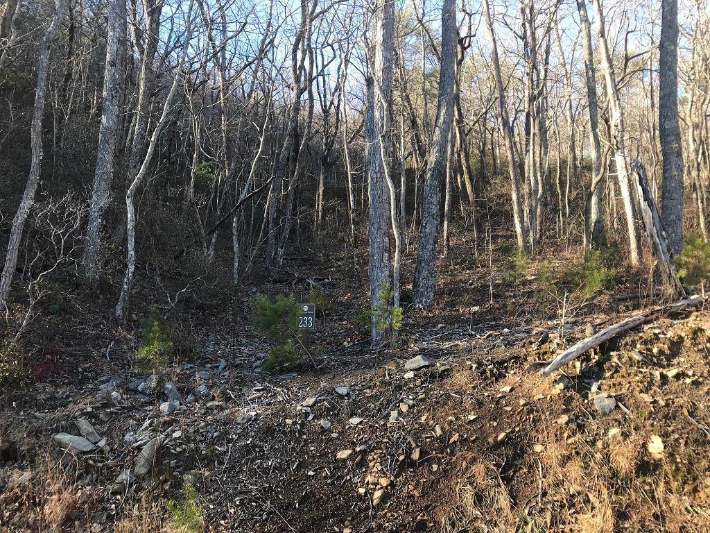 0 Stone Cliff Dr - Photo 1