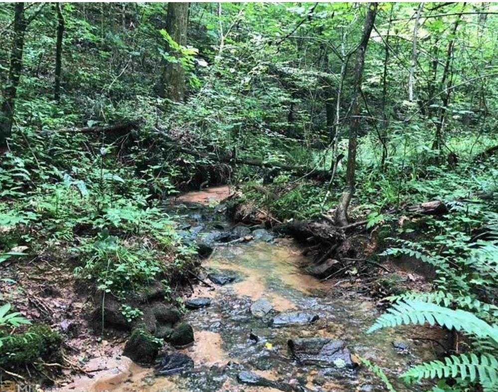 0 End Of Trails Rd - Photo 1