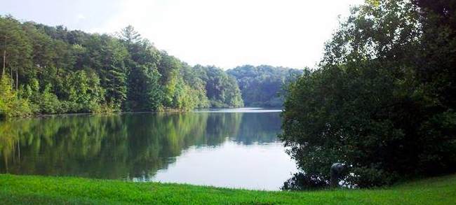 0 Cedar Hollow Rd - Photo 1