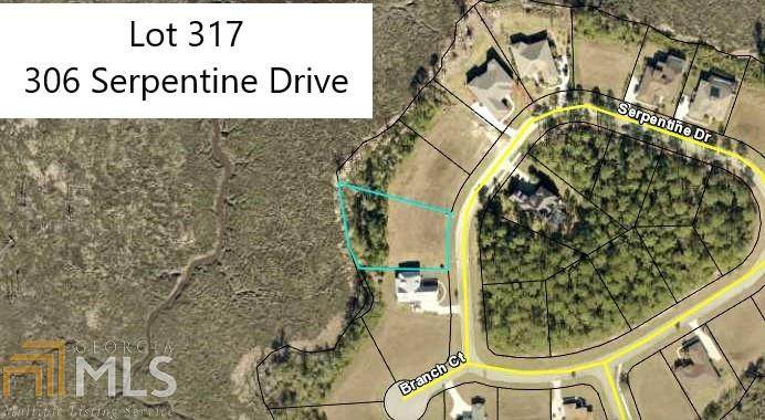 306 Serpentine Dr - Photo 1