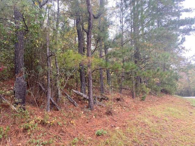 0 Macon Rd - Photo 1