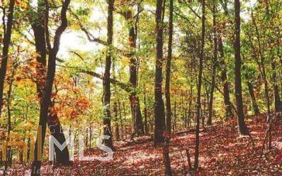 0 Laurel Ridge Rd - Photo 1