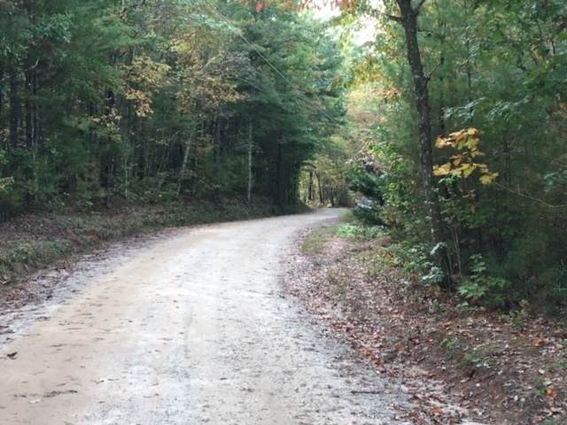 680 Tame Turkey Rd - Photo 1