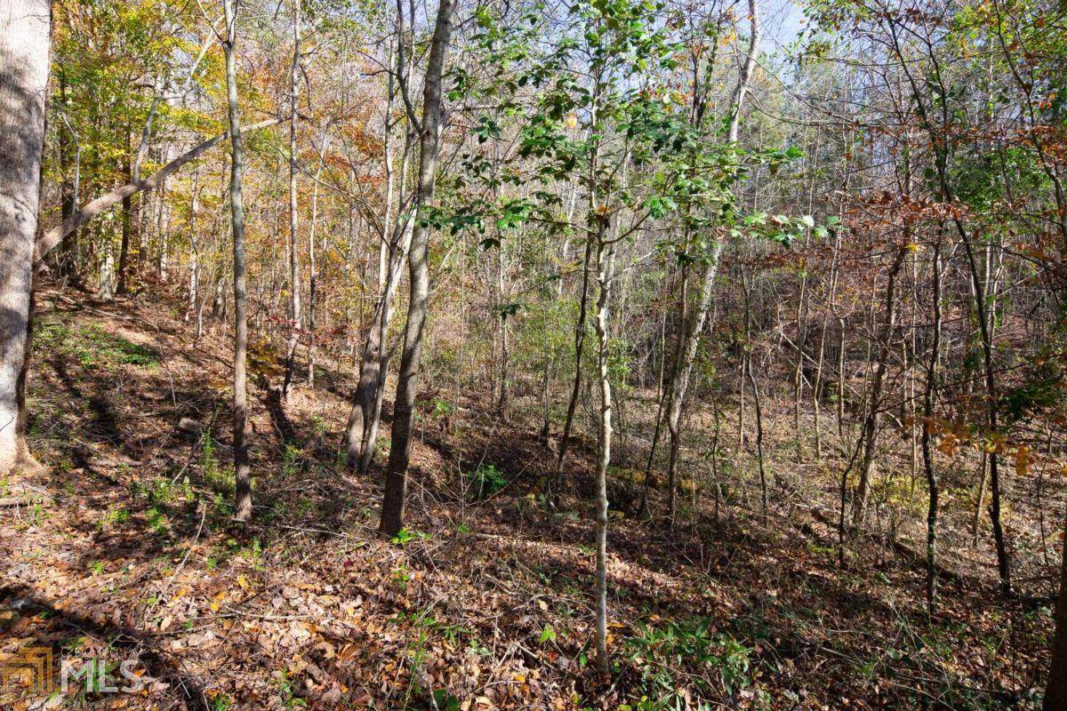 0 Sosebee Dr - Photo 1