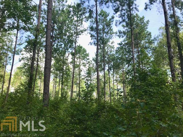 0 West James Posey Rd - Photo 1