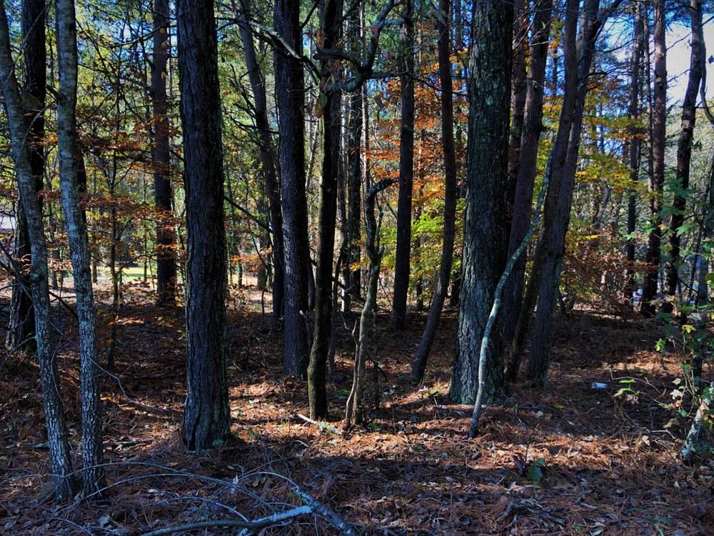 0 Lowman Rd - Photo 1